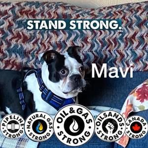 Meet your Posher, Lynne